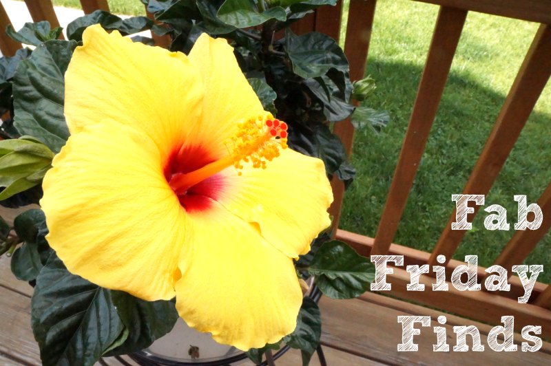 Fab Friday Finds by Two Purple Couches #fridayfinds #summer #summertime