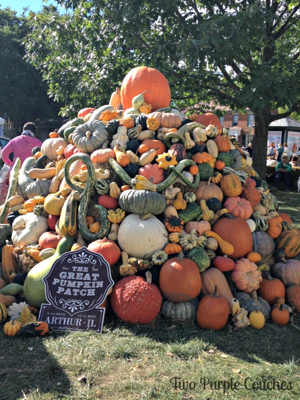 Incredible giant pumpkin patch at the Country Living Fair in Columbus Ohio. via www.twopurplecouches.com #CLFair #Fall #CountryLiving #pumpkins 