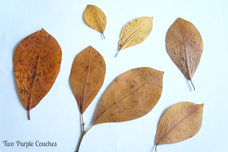 Pressed leaves are great for framing as art around your home in the Fall. via www.twopurplecouches.com #Fall #art #homedecor #diyart #FallDecor