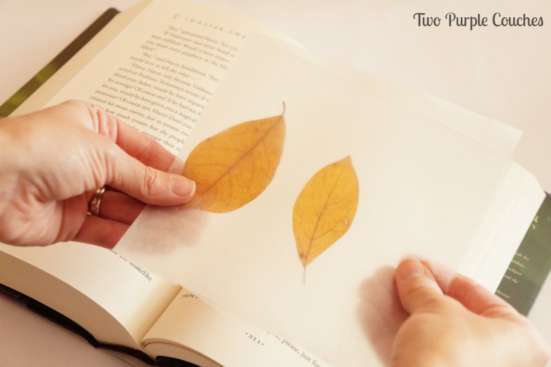 Simple tips for pressing leaves - fold between wax papers and place inside a book! via www.twopurplecouches.com #Fall #art #homedecor #diyart #FallDecor