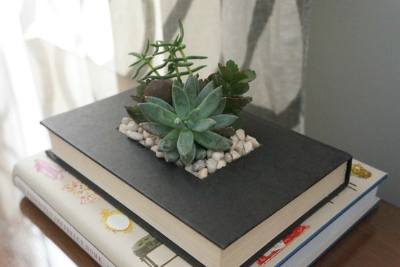 Book Planter from Year of Serendipity