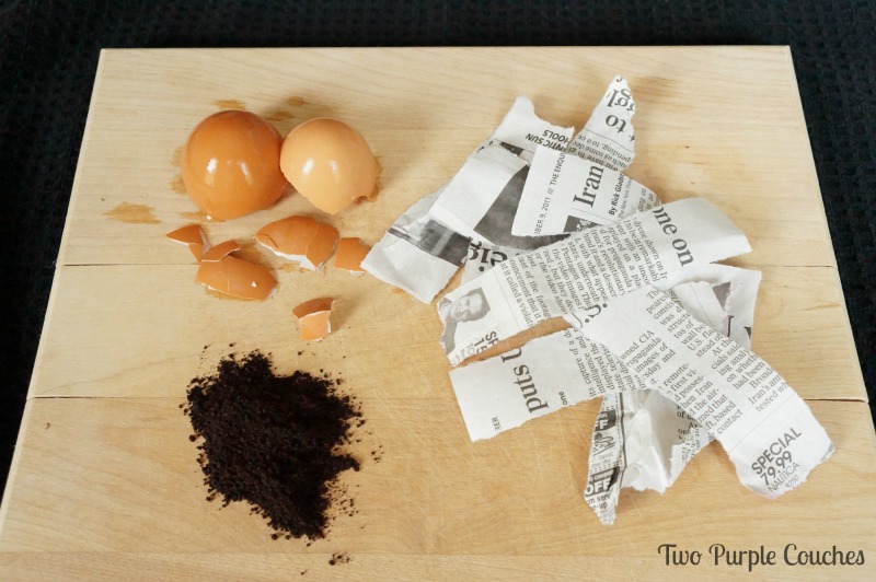 Balanced compost contains greens and browns. Browns include items like eggshells, newspaper, cardboard, and coffee grinds. via www.twopurplecouches.com