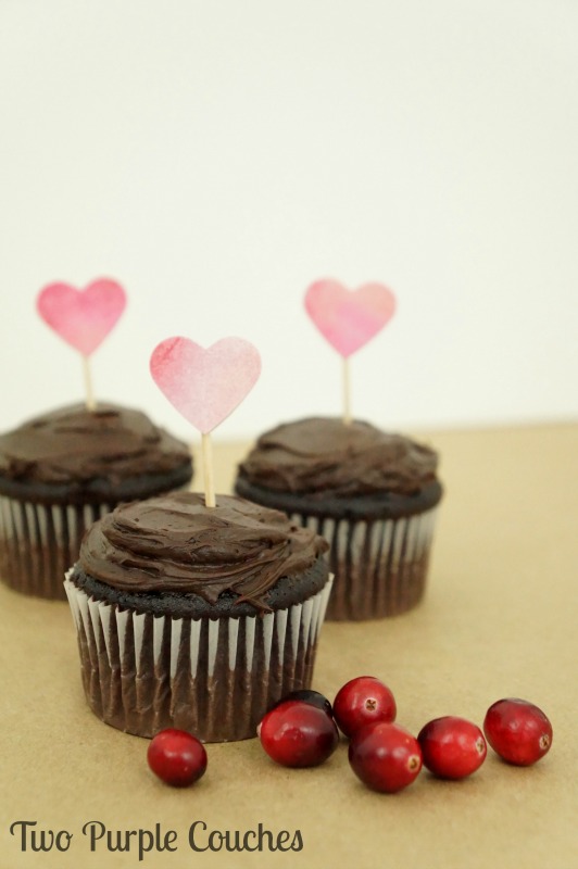 Double Chocolate Cranberry Cupcakes are a delicious sweet and tart treat for your Valentine, or any chocolate-lover in your life!