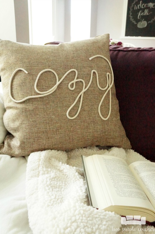 fall pillows for couch