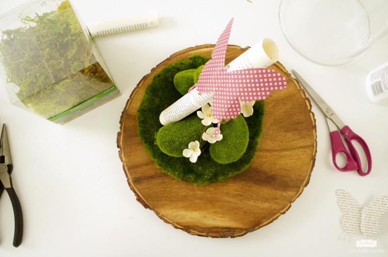 How to make your own simple spring cloche decor with butterflies and moss.