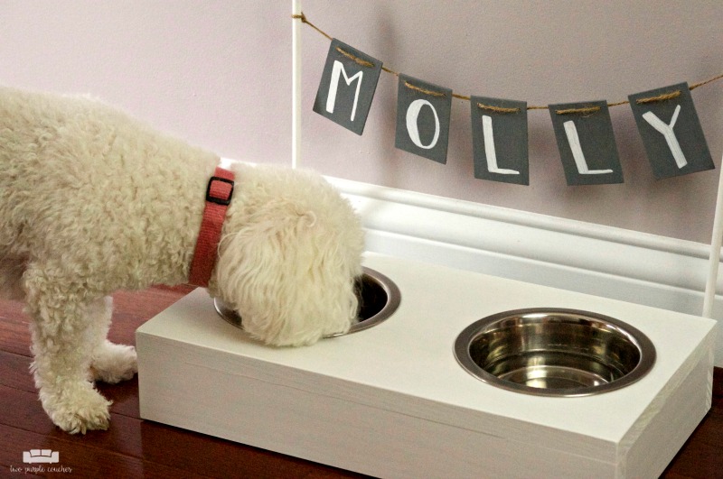 Cute DIY dog bowl stand for small dogs