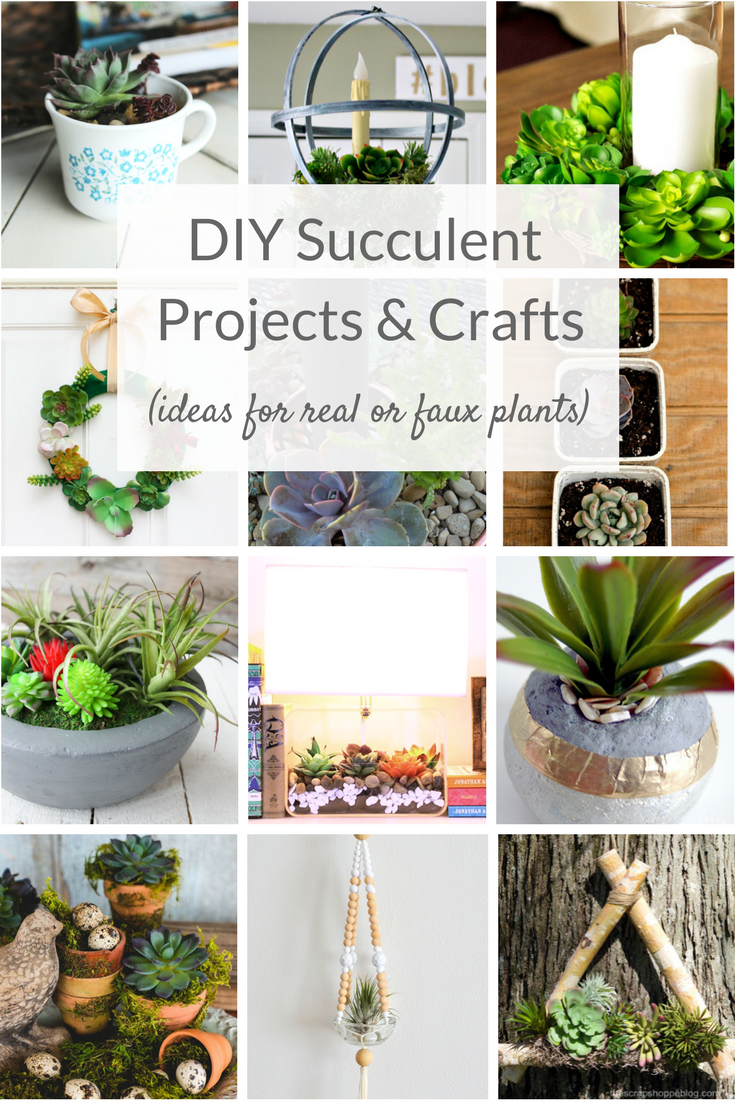 Succulent projects for indoors and out. Fun and easy DIY succulents crafts ideas and tutorials for decor projects, gardens and more!