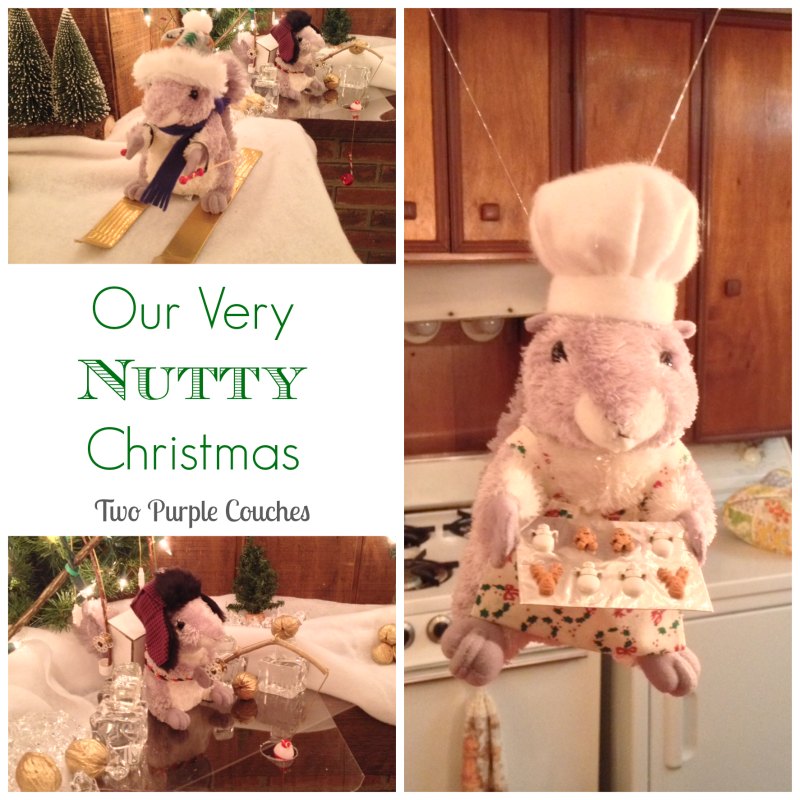 Our Nutty Christmas