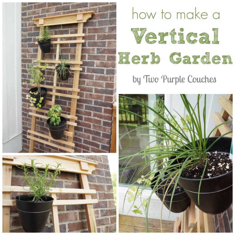 How to Make a Vertical Herb Garden by Two Purple Couches #gardening #urbangardening #verticalgardens #herbs #basil #cilantro #rosemary #chives