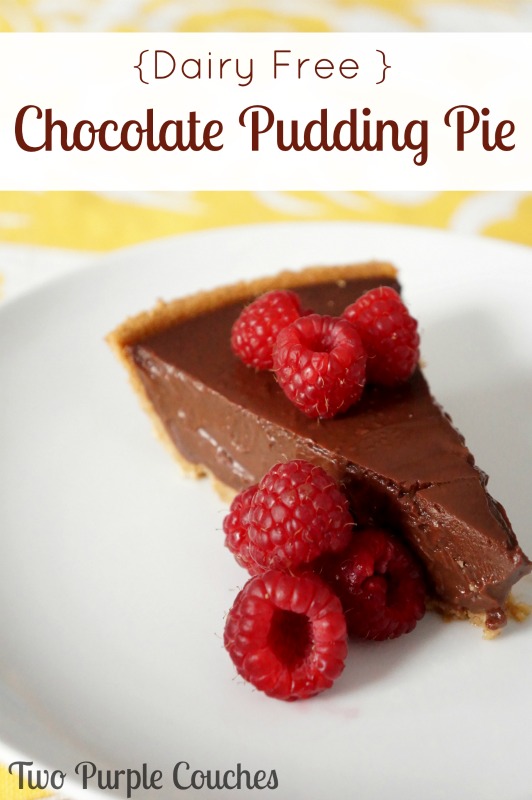 It's rich. It's creamy. And yes, it's dairy free! Chocolate Pudding Pie via www.twopurplecouches.com