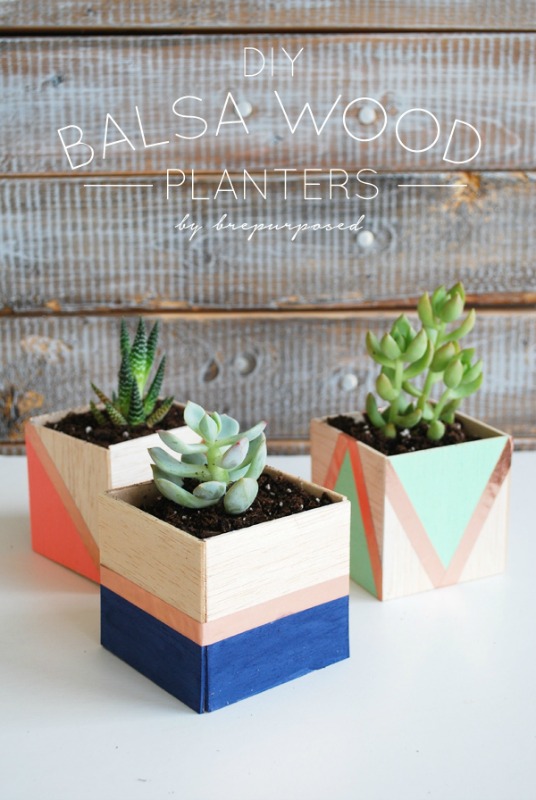 Creative Spark Feature: Balsa Wood Planters from Brepurposed