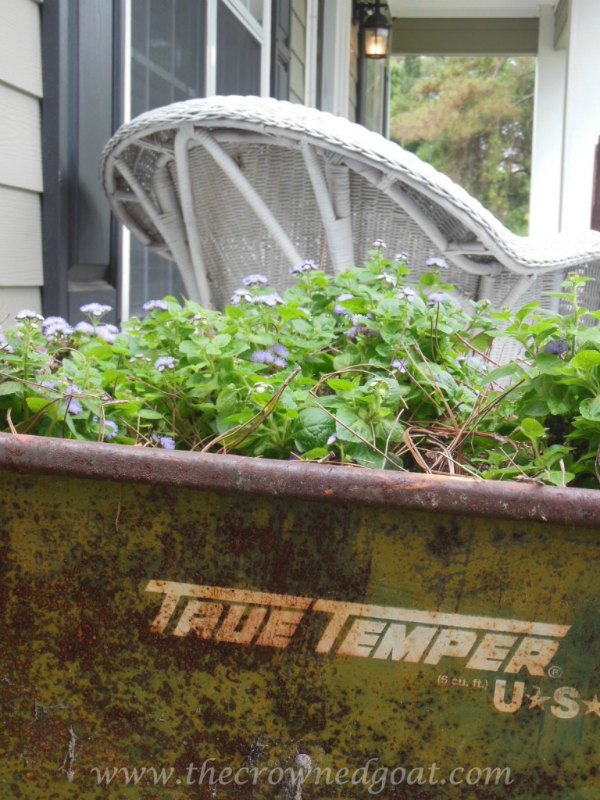 Creative Spark Feature: Wheelbarrow Container Garden from The Crowned Goat