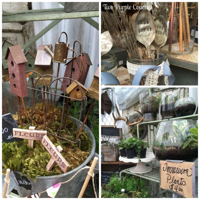 Tons of terrariums seen at the 2015 Country Living Fair in Columbus, Ohio. via www.twopurplecouches.com