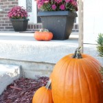 Group pumpkins along steps or in mulch beds to create a welcoming Fall porch. via www.twopurplecouches.com