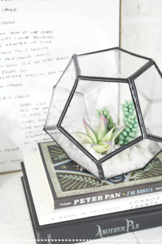 diy-geometric-terrarium-16