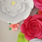 Absolutely stunning DIY paper flower backdrop. Love this idea for a shower, party or wedding!