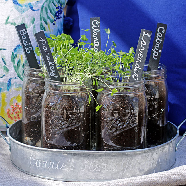 mason-jar-herb-garden-curlycraftymom