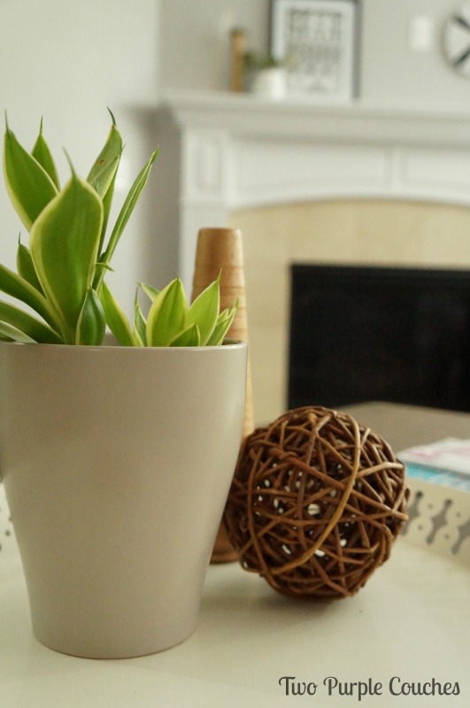 House plants are an easy way to add nature to your decorating