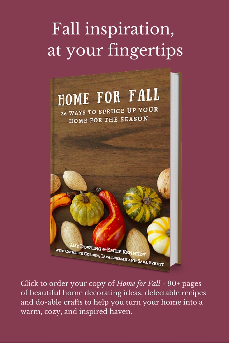 Find Fall inspiration at your fingertips! If you want to create a cozier home this Fall season, this is the e-Book for you! Click to find out how to order your copy and start turning your home into a haven.