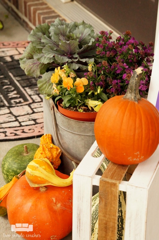 Great ideas for creating colorful, rustic fall porch decor and outdoor fall decorating ideas. Love the mix of purples and yellows - a fresh take for fall!