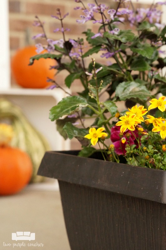 Great ideas for creating colorful, rustic fall porch decor and outdoor fall decorating ideas. Love the mix of purples and yellows - a fresh take for fall!