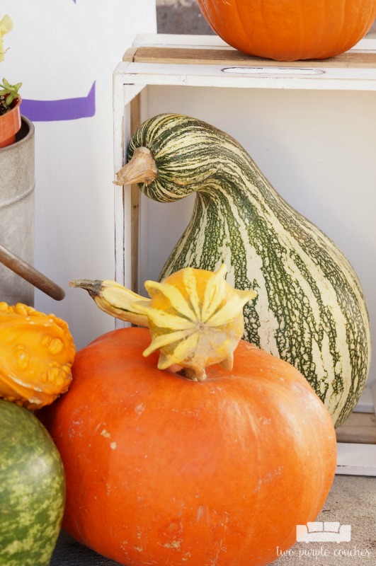 Great ideas for creating colorful, rustic fall porch decor and outdoor fall decorating ideas. Love the mix of purples and yellows - a fresh take for fall!