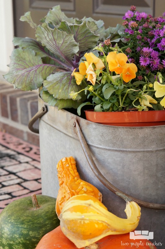Great ideas for creating colorful, rustic fall porch decor and outdoor fall decorating ideas. Love the mix of purples and yellows - a fresh take for fall!