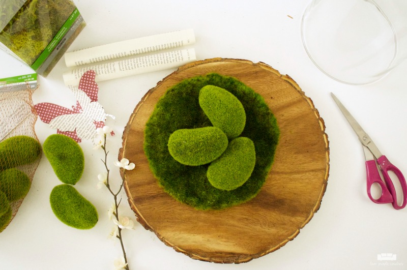 How to make your own simple spring cloche decor with butterflies and moss. 