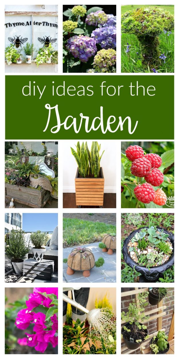 DIY Garden Ideas / Easy, budget-friendly and creative projects and ideas for backyard flower gardens and what to plant in your landscaping beds.