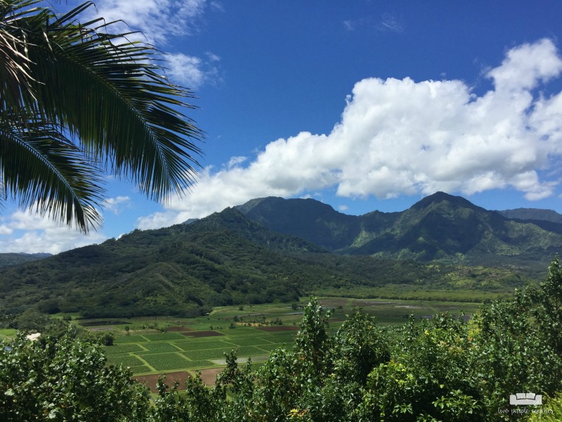 Visiting Kauai, HI soon? These are the must-see spots on Kauai! Breathtaking views, lush local scenery and fun adventures to make the most of your trip.