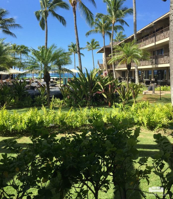 Ko'a Kea and the Grand Hyatt Kauai - both absolutely gorgeous Kauai resorts that we loved for different reasons. Incredible pools, amenities & spas!