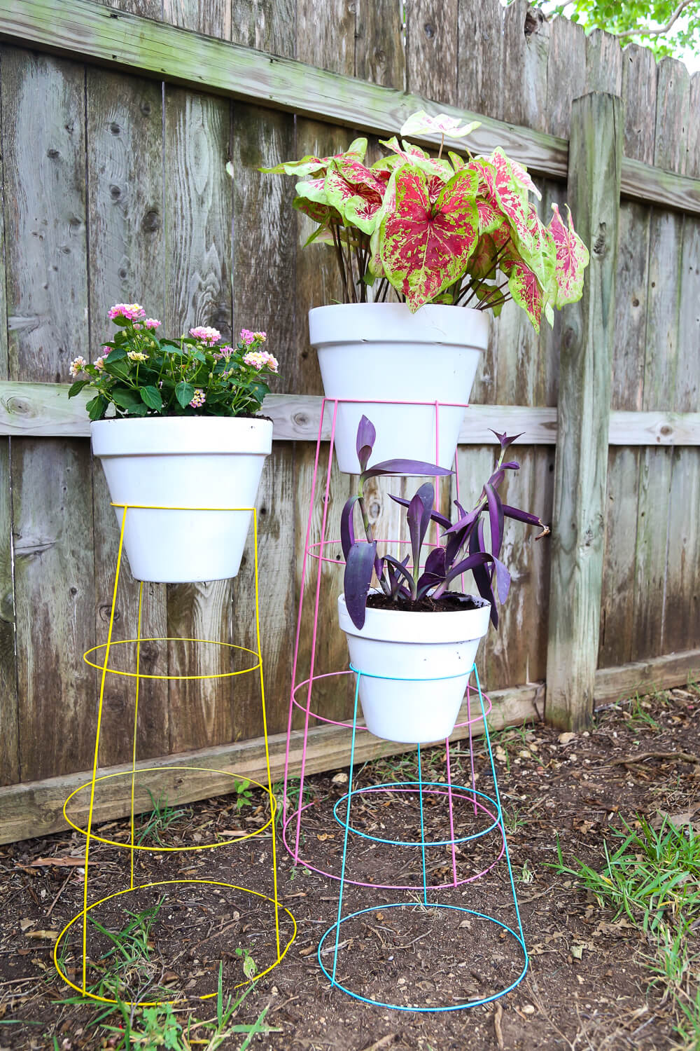 DIY plant stands using tomato cages