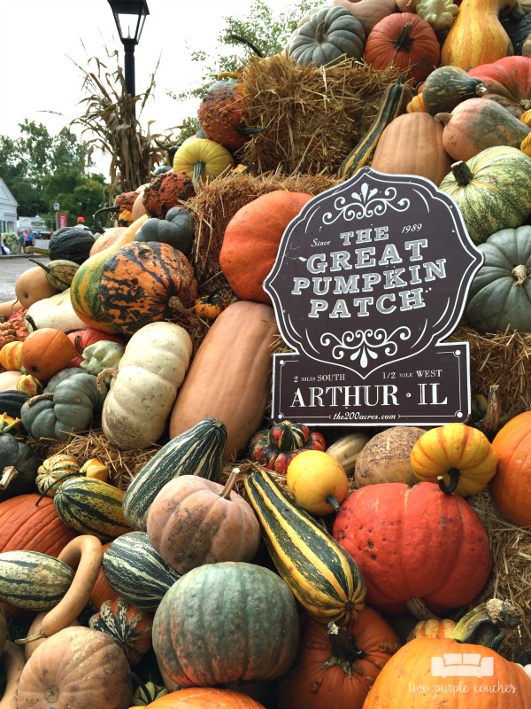 Country Living Fair 2016 - the Great Pumpkin Patch
