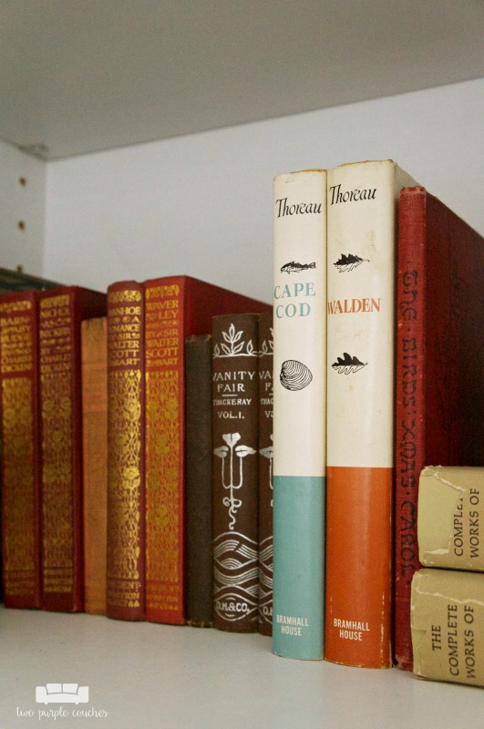 Home Office Design - library shelves for vintage book collection