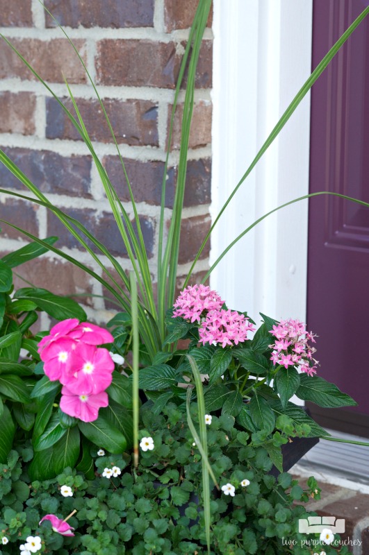 Summer porch decor - flowers and potted plants add to your curb appeal