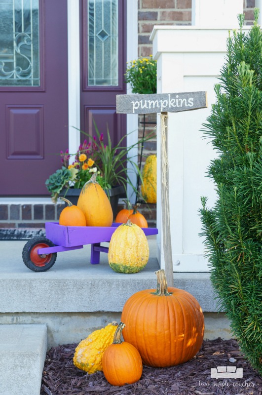 Create your own pumpkin patch! Group pumpkins and gourds on your porch for easy fall decorating.