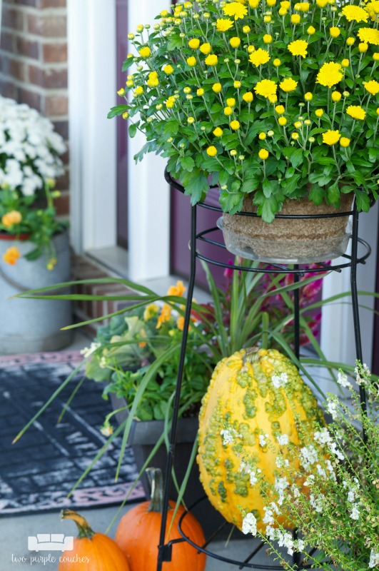 Pretty mums and colorful gourds on this fall porch.