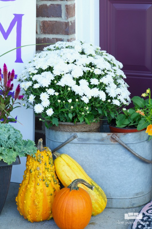 DIY Fall Porch Decor - fill a galvanized bucket with mums and pansies.