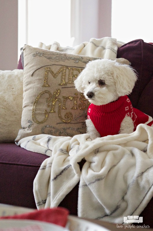 Cozy holiday home decor in the family room (the dog loves it too!)