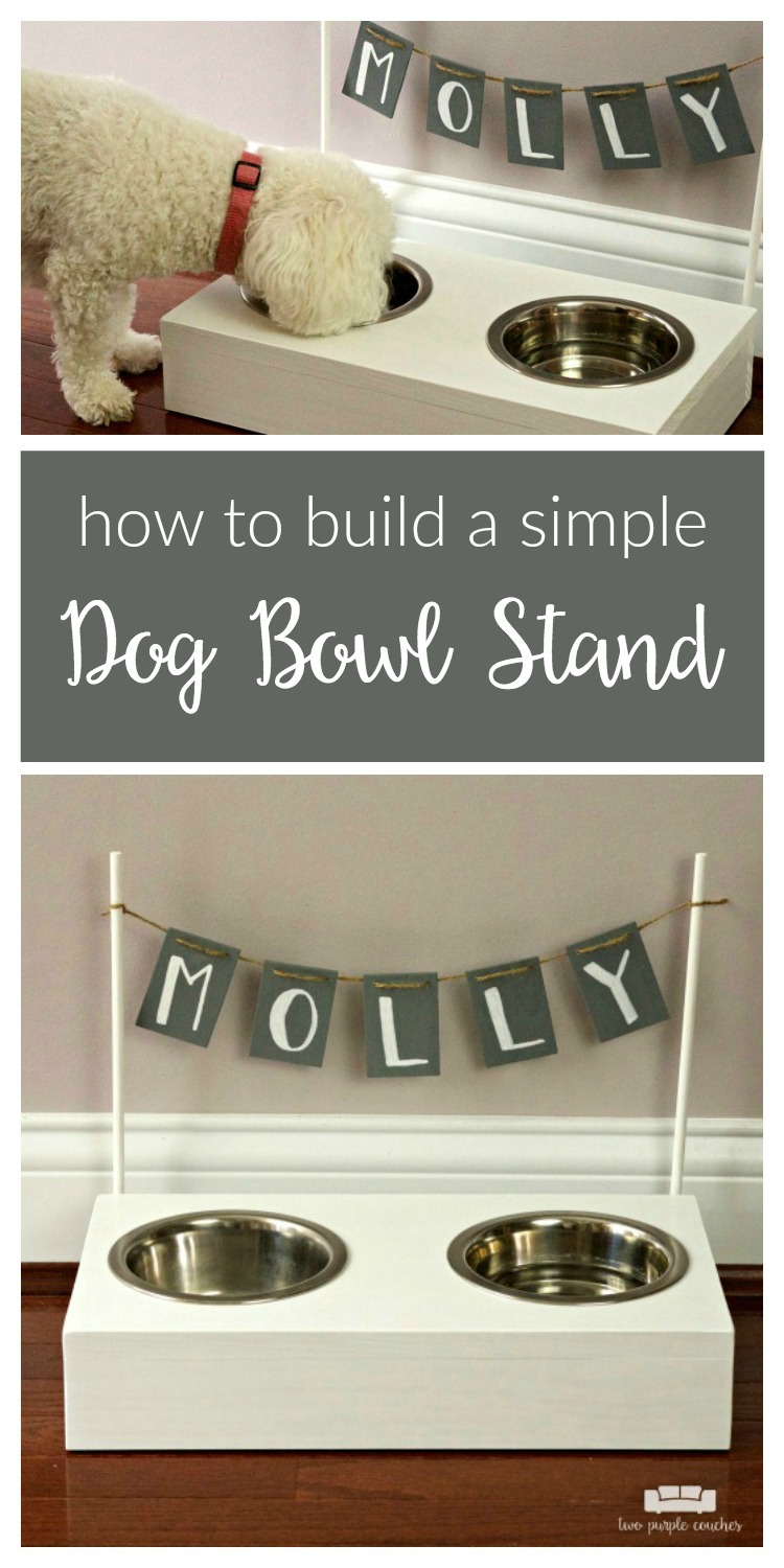 DIY Dog Bowl Stand - two purple couches