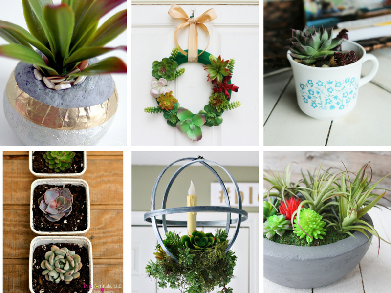 Fun and easy ideas for faux or real succulent projects