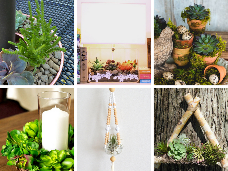 Fun and unique ideas for DIY succulent projects - real or faux!