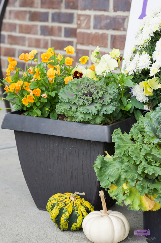 Pretty pansies and pumpkins feature in this outdoor porch decor for Fall