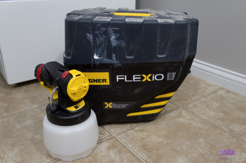 Wagner FLEXiO 5000 paint sprayer with case